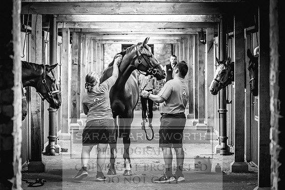 Goffs UK Yorton Sale 2023-27