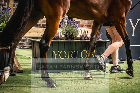 Goffs UK Yorton Sale 2023-354