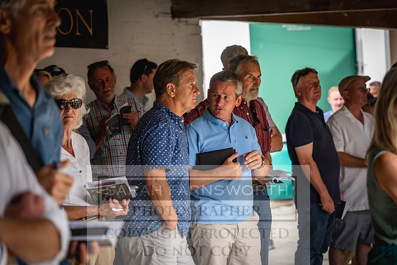 Goffs UK Yorton Sale 2023-230