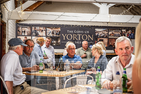 Goffs UK Yorton Sale 2023-338