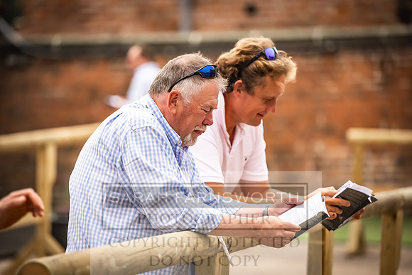 Goffs UK Yorton Sale 2023-76