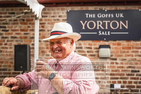 Goffs UK Yorton Sale 2023-187