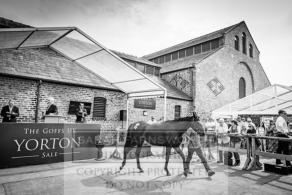 Goffs UK Yorton Sale 2023-216