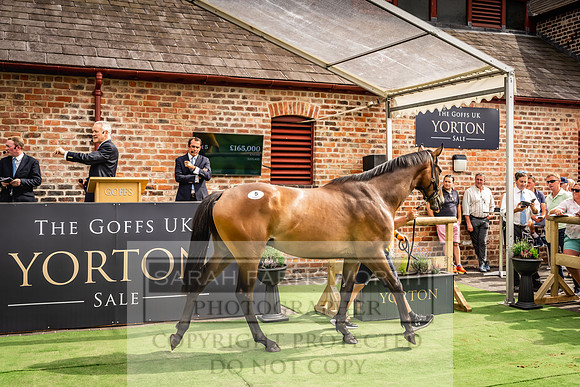Goffs UK Yorton Sale 2023-266