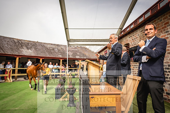 Goffs UK Yorton Sale 2023-234