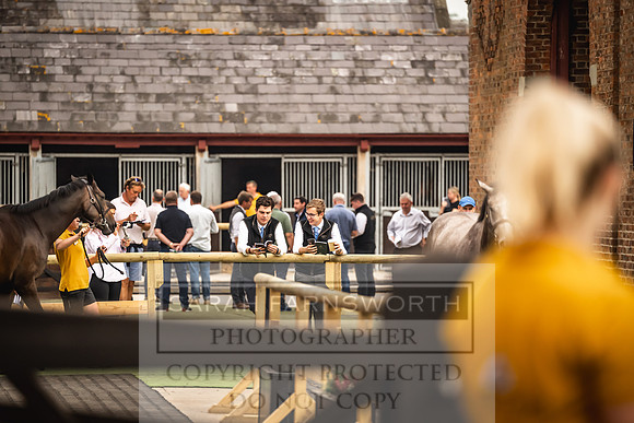 Goffs UK Yorton Sale 2023-60