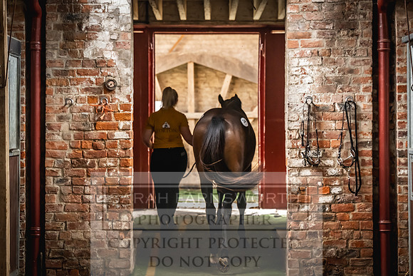 Goffs UK Yorton Sale 2023-55