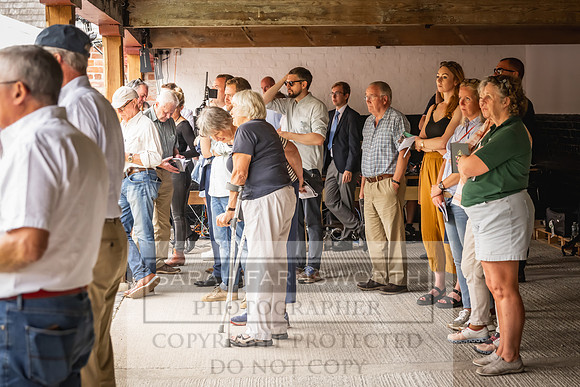 Goffs UK Yorton Sale 2023-206