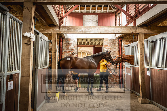 Goffs UK Yorton Sale 2023-10