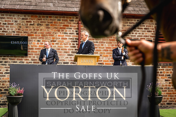 Goffs UK Yorton Sale 2023-270