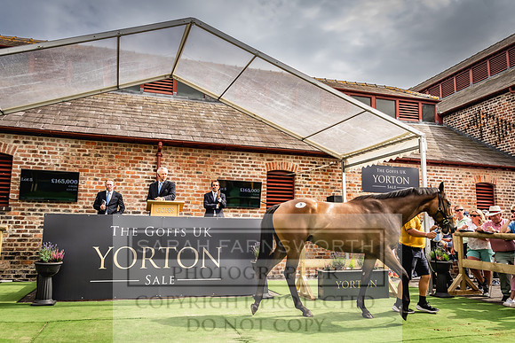 Goffs UK Yorton Sale 2023-269