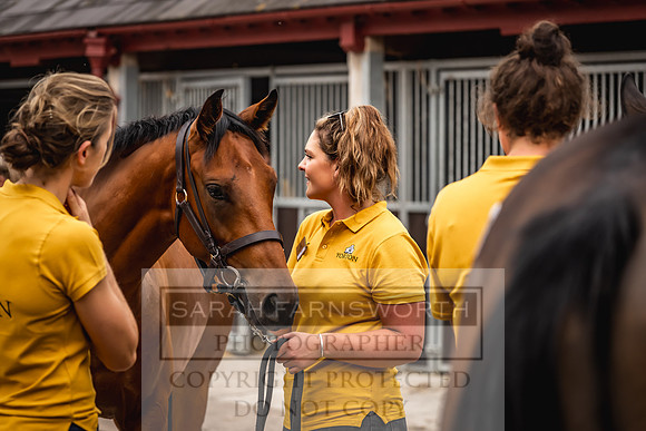 Goffs UK Yorton Sale 2023-143