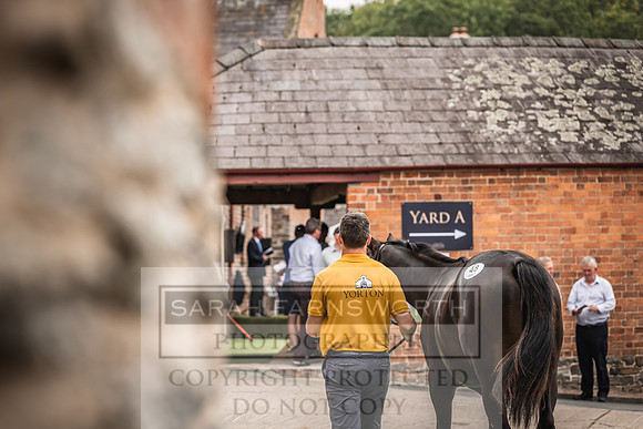 Goffs UK Yorton Sale 2023-385