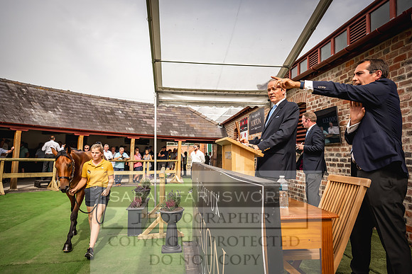 Goffs UK Yorton Sale 2023-235