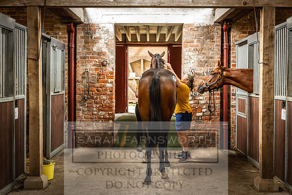Goffs UK Yorton Sale 2023-13
