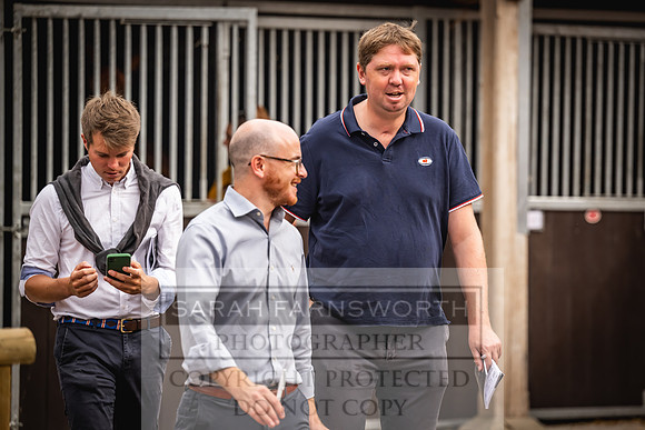 Goffs UK Yorton Sale 2023-87
