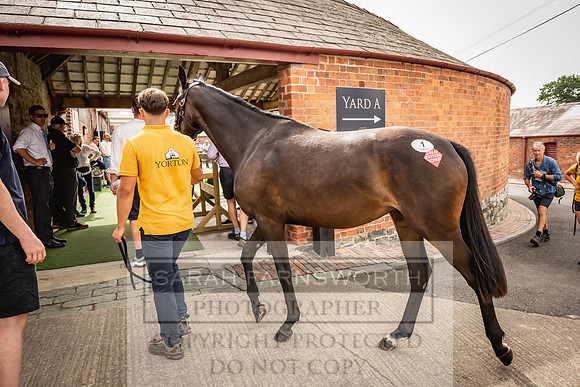 Goffs UK Yorton Sale 2023-197