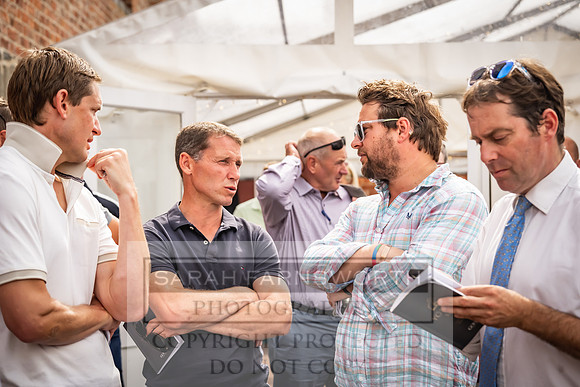 Goffs UK Yorton Sale 2023-237