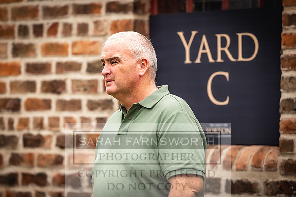 Goffs UK Yorton Sale 2023-83