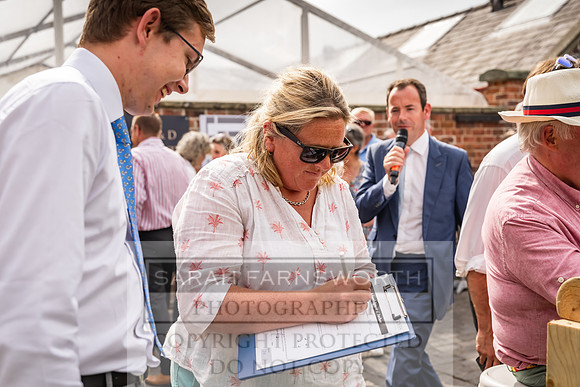 Goffs UK Yorton Sale 2023-292