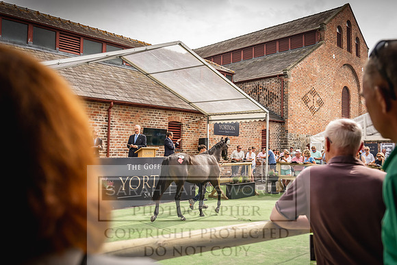 Goffs UK Yorton Sale 2023-208
