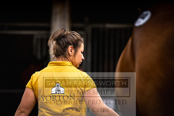 Goffs UK Yorton Sale 2023-47