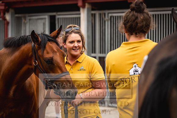 Goffs UK Yorton Sale 2023-140