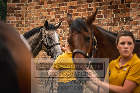 Goffs UK Yorton Sale 2023-118