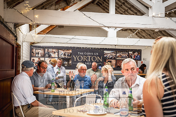 Goffs UK Yorton Sale 2023-339