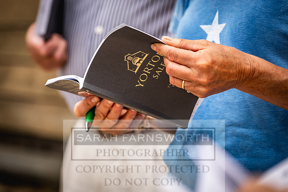 Goffs UK Yorton Sale 2023-135
