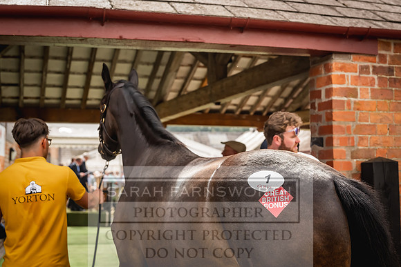 Goffs UK Yorton Sale 2023-199