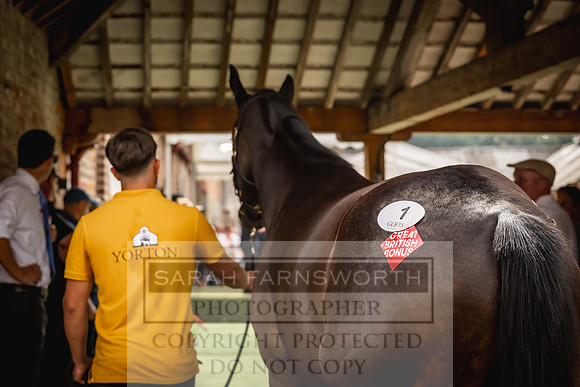 Goffs UK Yorton Sale 2023-200