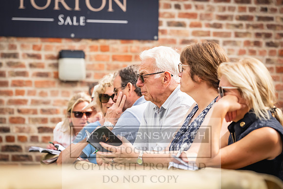 Goffs UK Yorton Sale 2023-222