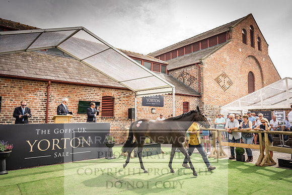 Goffs UK Yorton Sale 2023-213