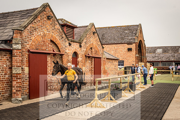 Goffs UK Yorton Sale 2023-120