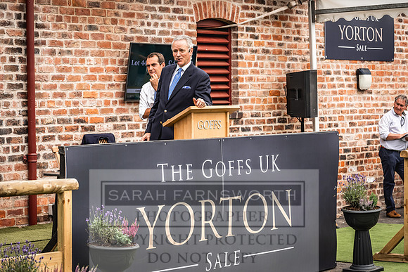 Goffs UK Yorton Sale 2023-376