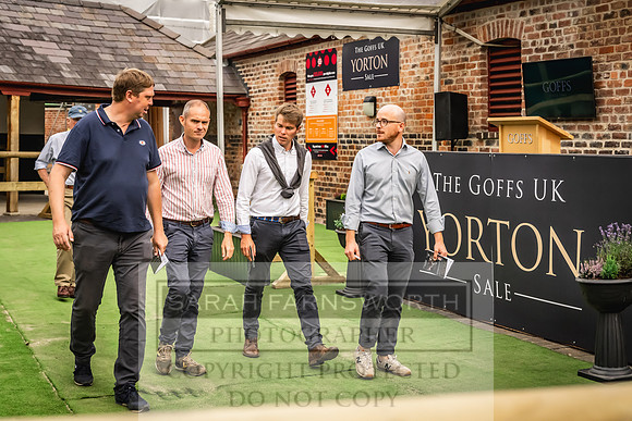 Goffs UK Yorton Sale 2023-158