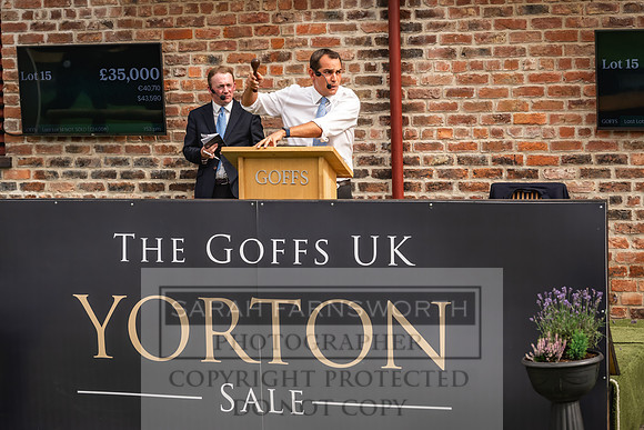 Goffs UK Yorton Sale 2023-294