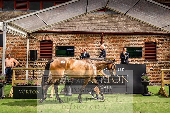 Goffs UK Yorton Sale 2023-264