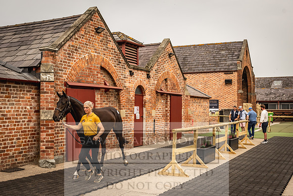 Goffs UK Yorton Sale 2023-122