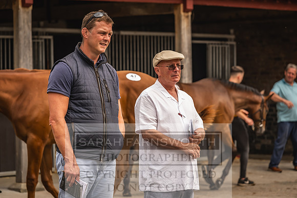 Goffs UK Yorton Sale 2023-114