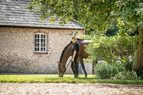 GUK Goodwood Sale 2018-11
