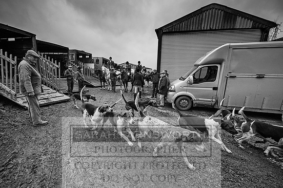 Holderness 031215-6 bw