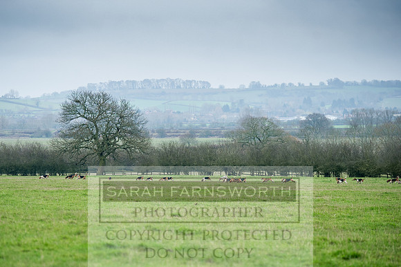 Holderness 031215-119