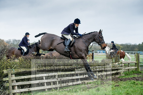 Holderness 031215-142