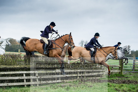 Holderness 031215-146