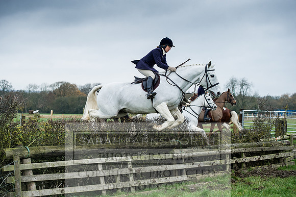 Holderness 031215-148