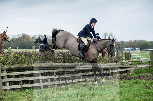 Holderness 031215-151