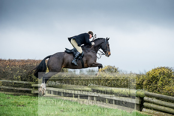 Holderness 031215-82