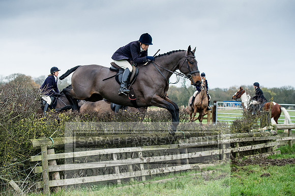 Holderness 031215-141